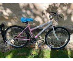BYKE Ltd: White and Pink MTB Challenge