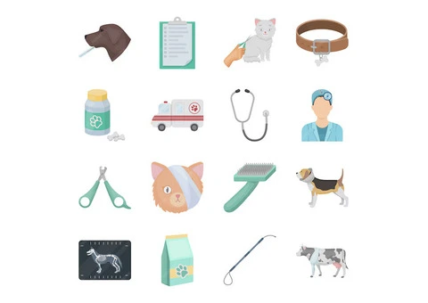 Enhancing Pet Health: Exploring Essential Veterinary Equipment