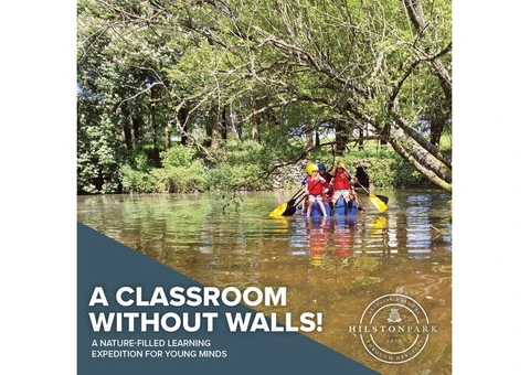 Grow Curious Minds: The Benefits of School Outdoor Learning - 2/2