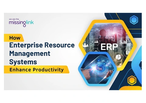 How Enterprise Resource Management Systems Enhance Productivity
