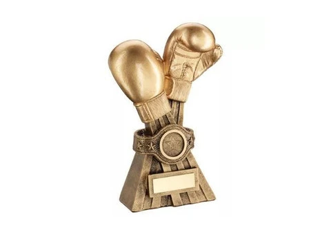Get £5 off All Trophies & Awards Online at Tower Trophies UK - 3/7
