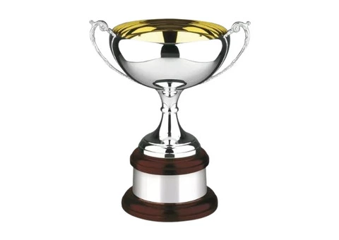 Get £5 off All Trophies & Awards Online at Tower Trophies UK - 7/7