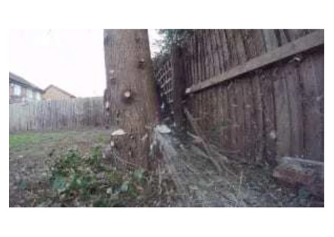 Tree Surgeon | Tree Surgery  Services in  Cheshire
