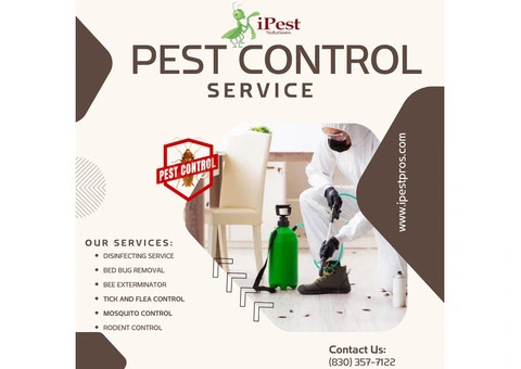 Bee Removal Services in Waco - Waco Pest Control