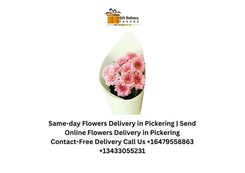 Same-day Combos Delivery in Pickering | Combos Online Delivery in Pickering - 1/4