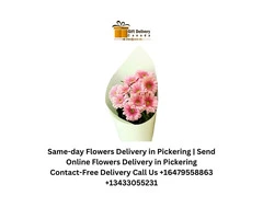 Same-day Combos Delivery in Pickering | Combos Online Delivery in Pickering