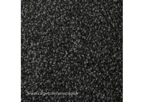 Want to give your staircase an alluring vibe? Visit Grey Stair Carpet!