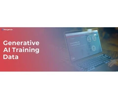 Unlocking Potential: Generative AI Training Data Insights