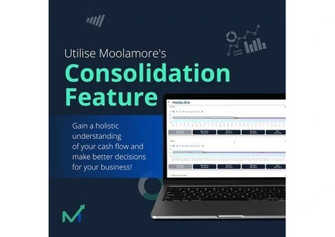 Exclusive Lifetime Deal! Unlock Unlimited Cash Flow Insights for Only $49