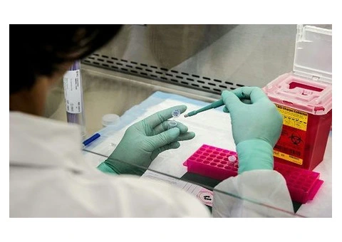 Protein Analysis in Cosmetics