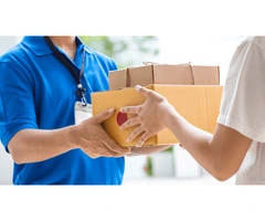 Document Courier Service