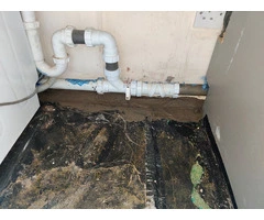 Pest Control Southwark