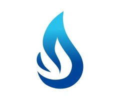 Blue Flame Services