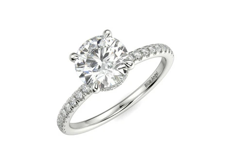 Round Hidden Halo Engagement Ring (Hidden Halo)