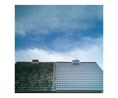 Restore Your Roof's Glory with Expert Cleaning in Southampton!