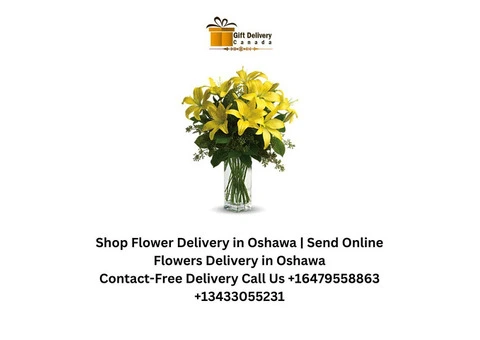 Online Order Cakes Delivery in Oshawa | Cake Combos Delivery in Oshawa - 4/4
