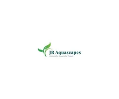 Transform Your Leicester Garden with JR Aquascapes: Experts in Wildlife Ponds and Waterfalls!