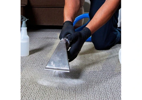 Revitalize Your Home with Expert Carpet Cleaning in Redcar!
