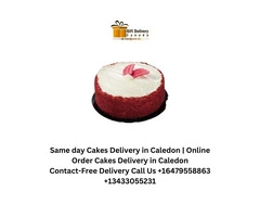 Anniversary Flowers Delivery in Caledon | Send Online Flowers Delivery in Caledon