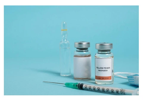 Importance of Yellow Fever Vaccination: What You Need to Know