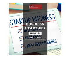 What does a Professional Accountant for Startups Do?