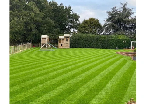 Achieve Lawn Perfection with Coton Machinery's Grass Seeds - 3/3