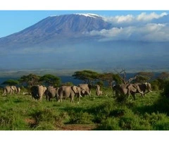 Kilimanjaro expedition offers for 2024 and 2025