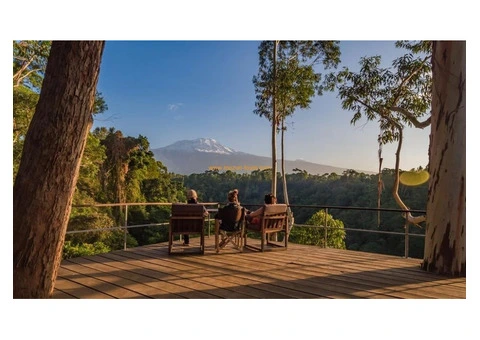 Kilimanjaro expedition offers for 2024 and 2025 - 2/6