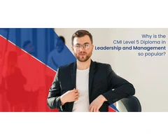 What are CMI Level 5 Qualifications?