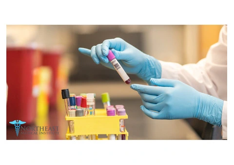 Expert Phlebotomy Training in Bristol - Start Your Journey Now
