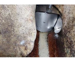 Pest Control Croydon