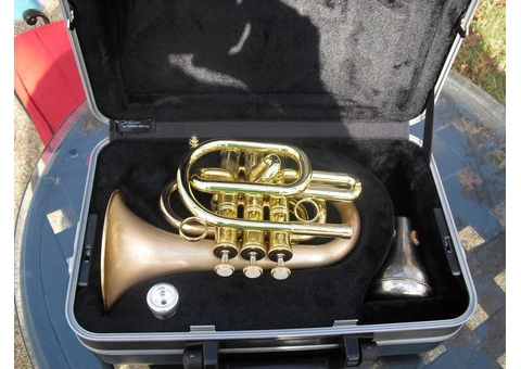 CarolBrass - 2/2