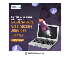 Elevate Your Brand with Expert E-Commerce Web Design Services