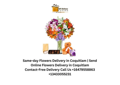 Gift Basket Delivery in Coquitlam | Gift Delivery in Coquitlam | Canada - 3/4
