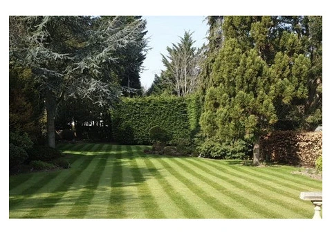 gardener hampstead