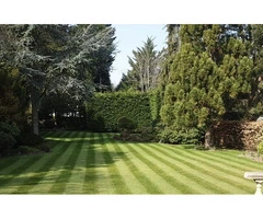 gardener hampstead