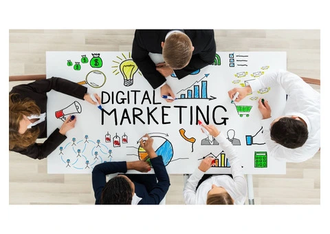 Why Choose a Milton Keynes SEO Company for Your Business?