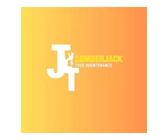 Lumberjack Tree Maintenance: Your Trusted Lumberjacks in Bromley for Expert Tree Care