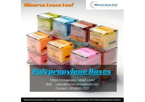 Polypropylene Boxes: Perfect Organization Solution from Minerva Loose Leaf