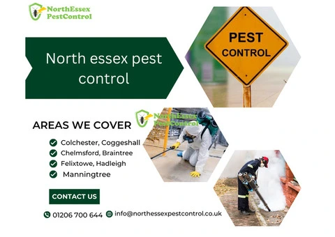 Mole control colchester