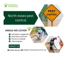 Mole control colchester
