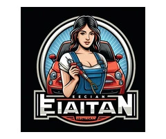 Mobile Tesla Model 3 Mechanic Auto Electrician