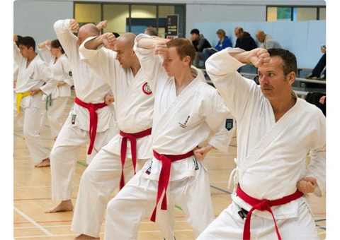Is Choosing Karate Training and Classes a Best Choice for Adults and Kids?