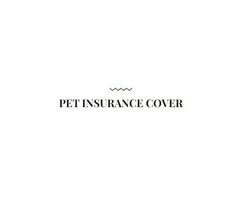 Pet insurance cover
