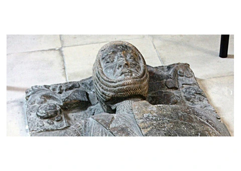 William the Conqueror: A Legacy of Conquest and Kingship!
