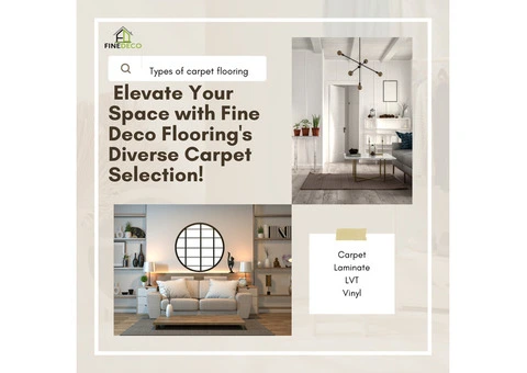 Elevate Your Space: Exploring the Diversity of Carpet Flooring Options
