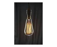 Order Squirrel Cage ST64 From Saving Light Bulbs
