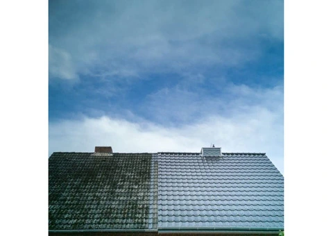 Refresh Your Home: Professional Roof Cleaning in Southampton!