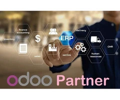 Looking to Drive Growth and Innovation in Your Business?