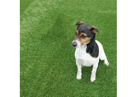 Discover Luxury with Shamrock 40mm Artificial Grass!